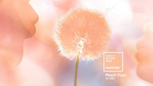 Peach Fuzz: Pantone's Color of the Year 2024