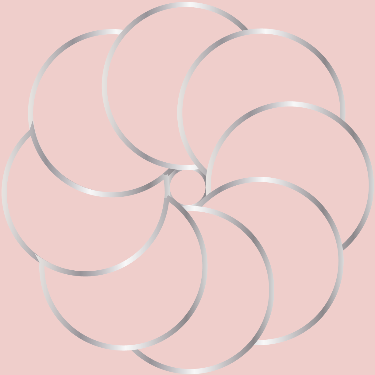 Pink Ranunculus Statement B Dot Club 01/25
