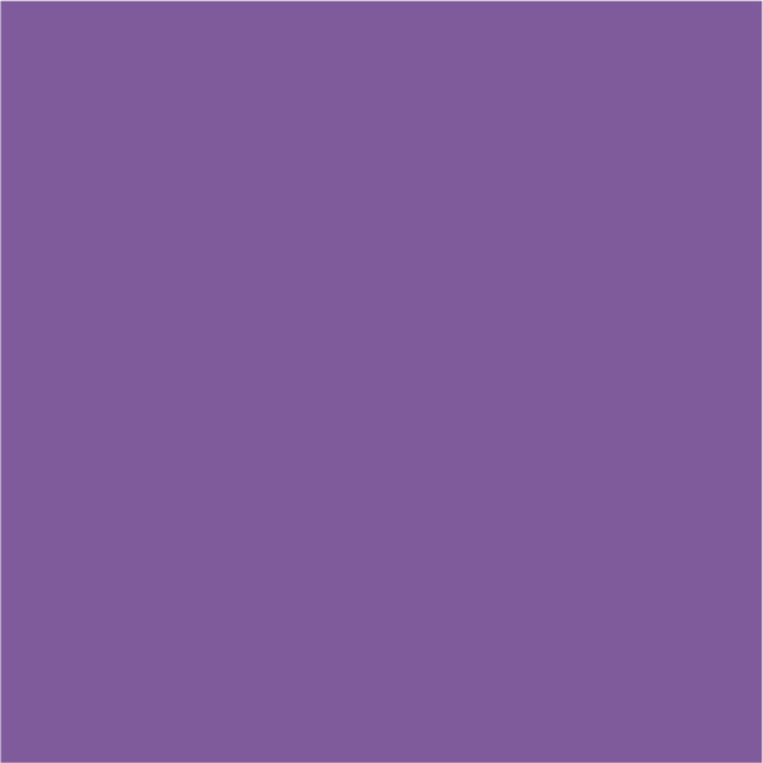 Purple Statement D