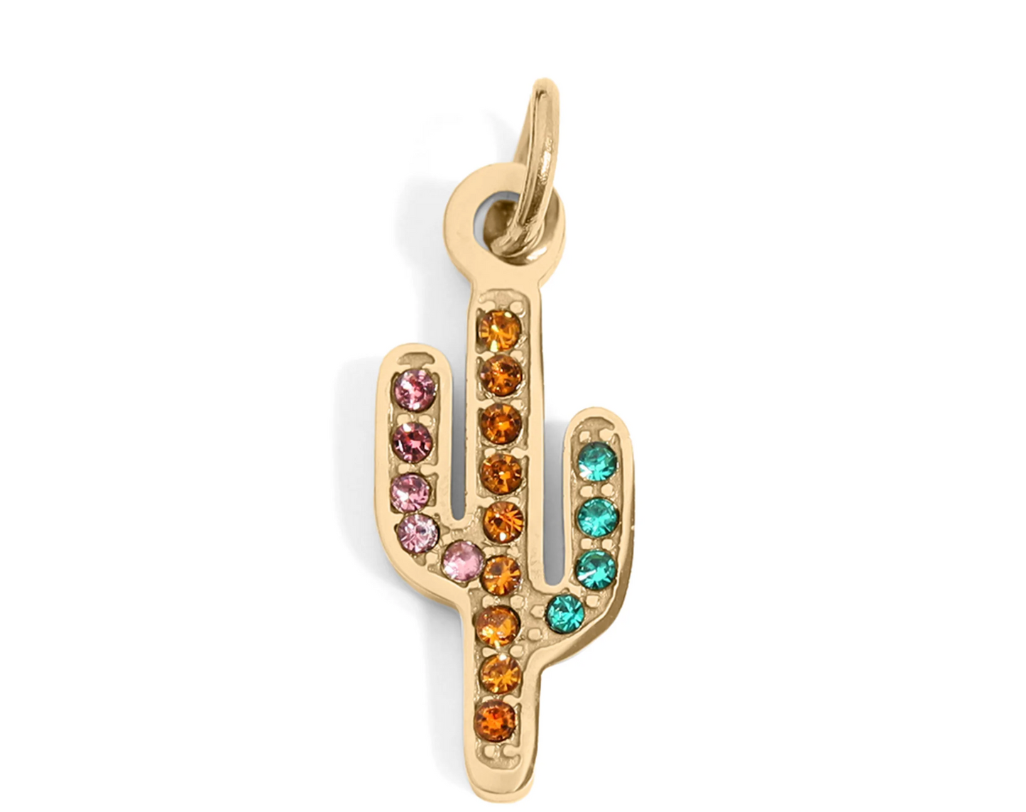 Cactus Charm