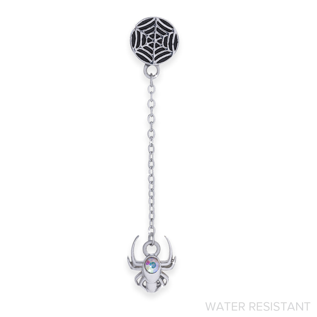 Spider & Web Slide Set