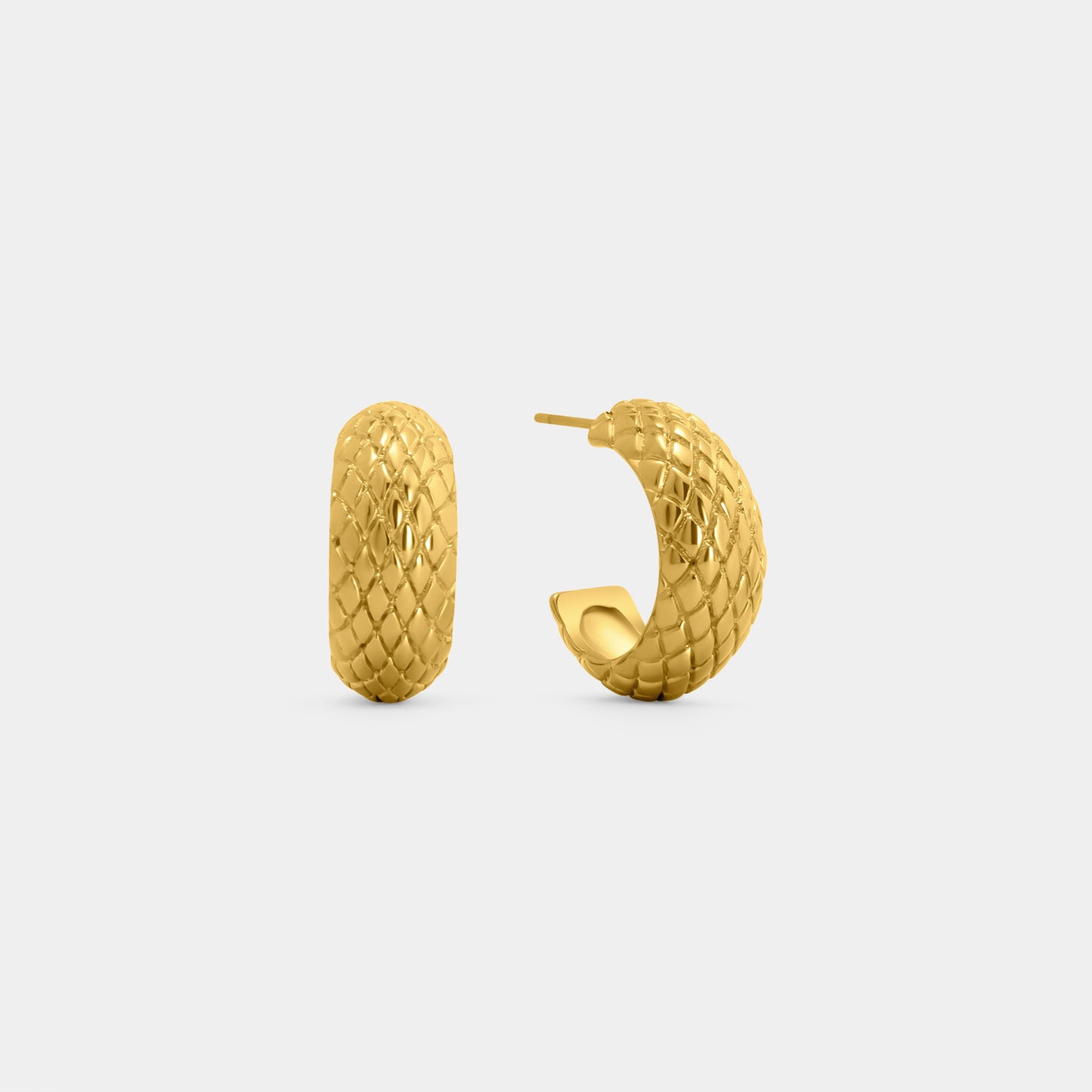 Snake Hoop Earrings