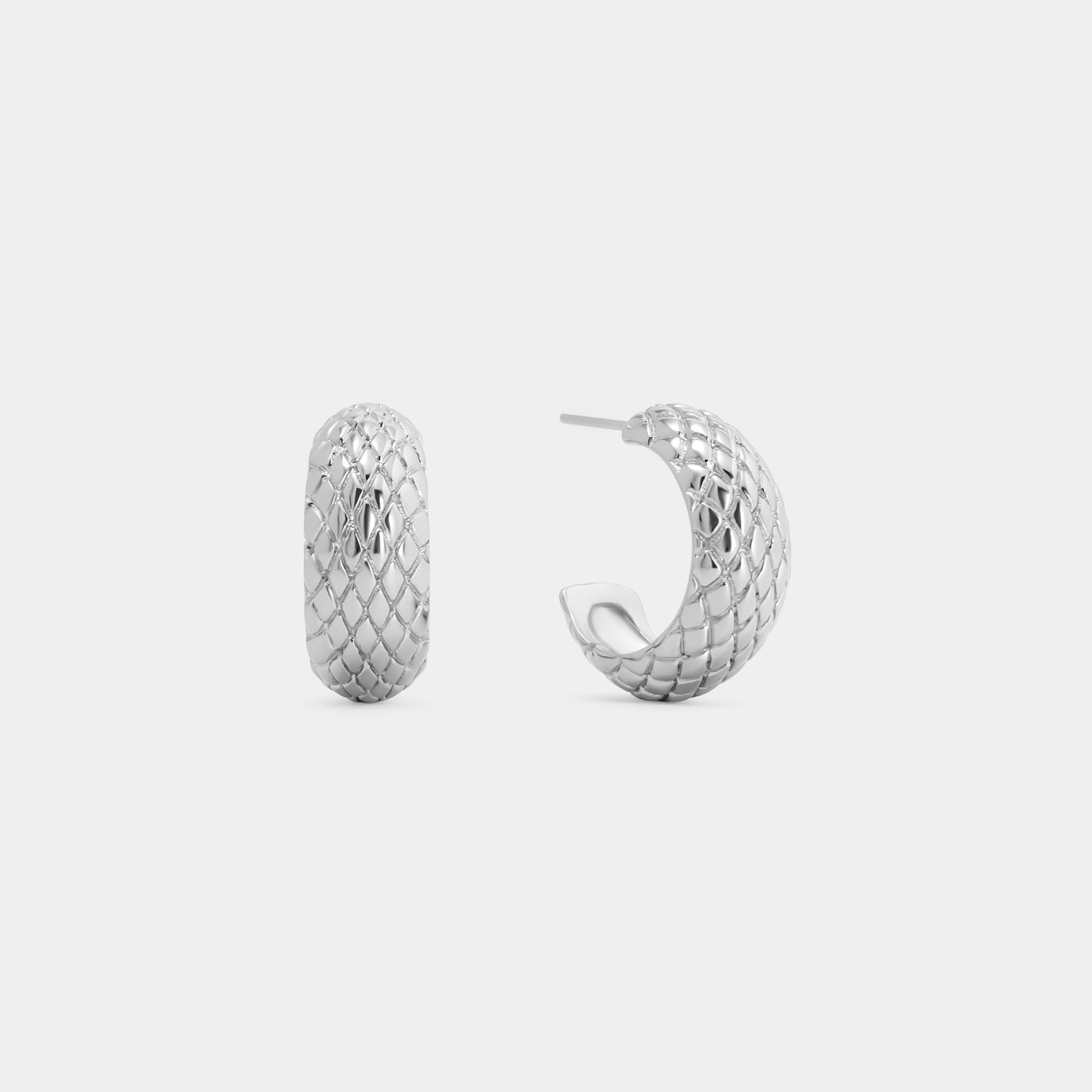 Snake Hoop Earrings
