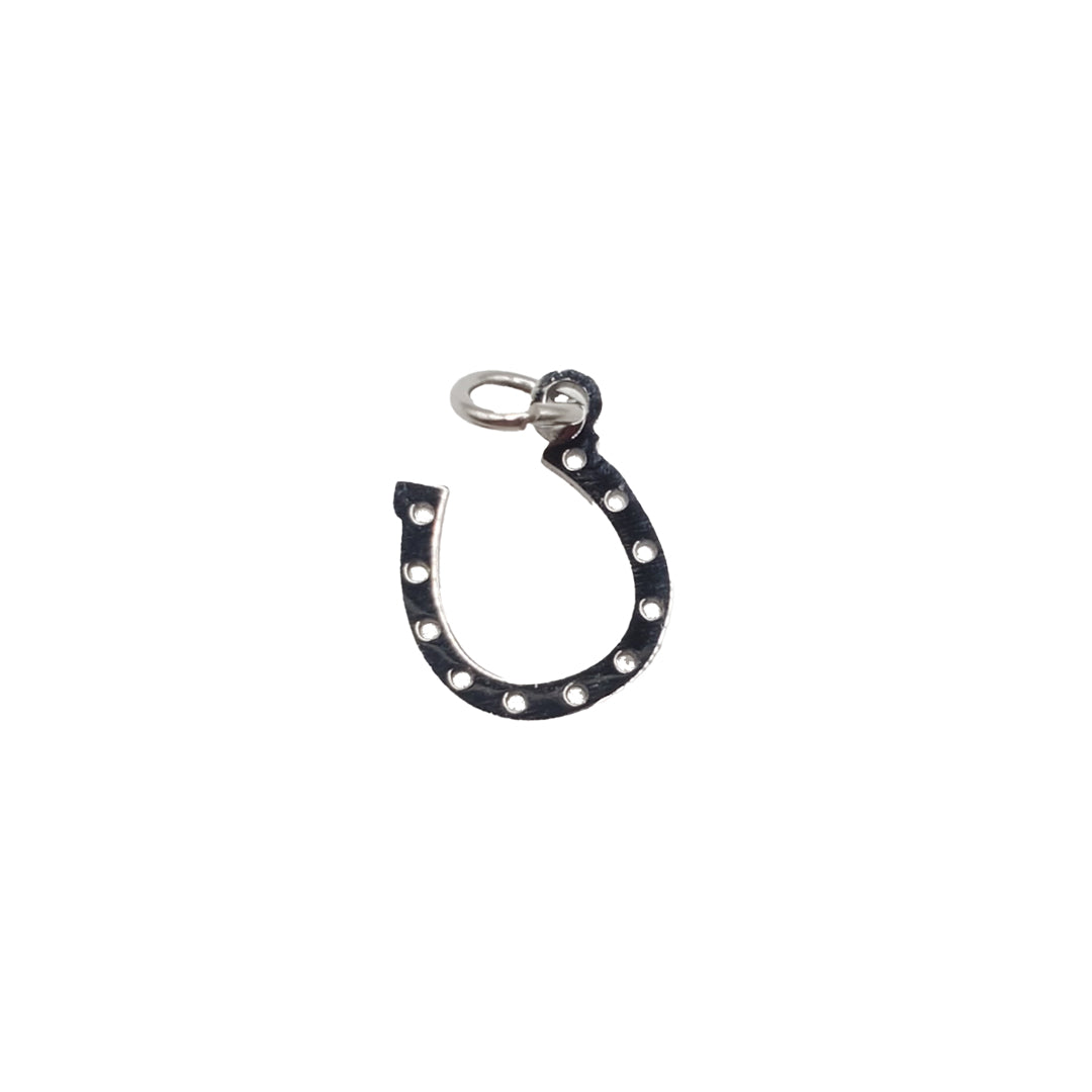 Horseshoe Charm (WR)