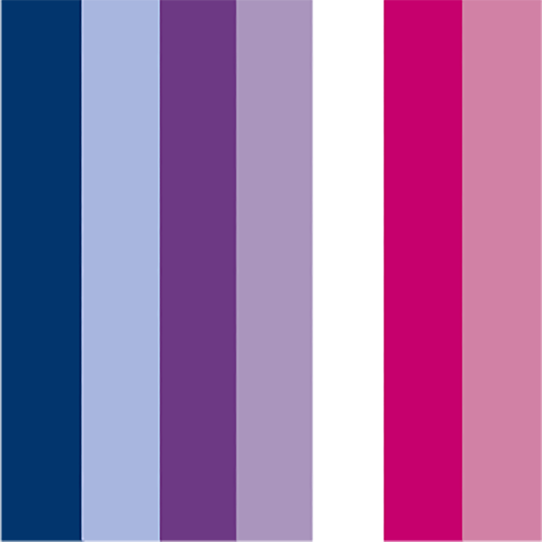 A square graphic made of vertical color blocks: dark navy, pale periwinkle, deep purple, light lavender, white, bright magenta, and dusty pink. The graphic is for the October 2026 Dot Club .