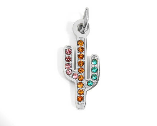 Cactus Charm