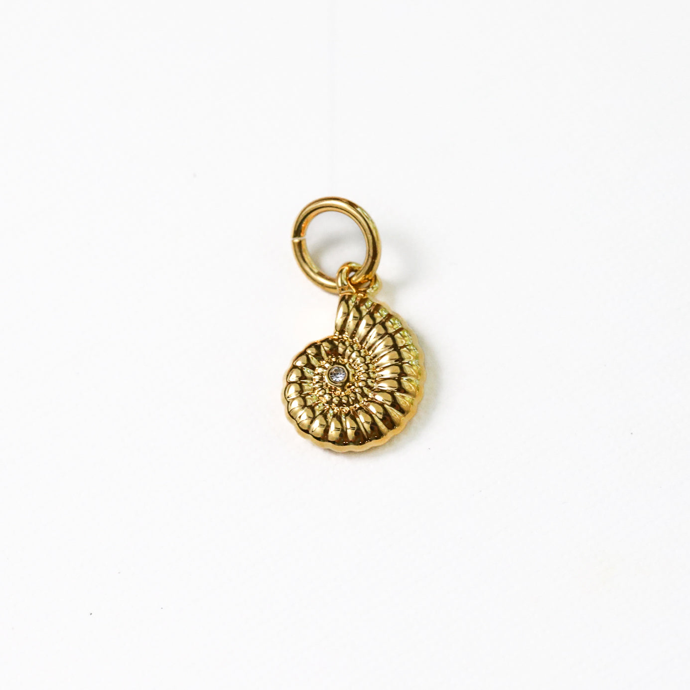 Shell Charm