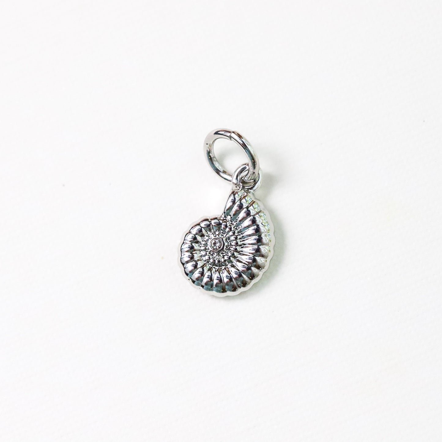 Shell Charm