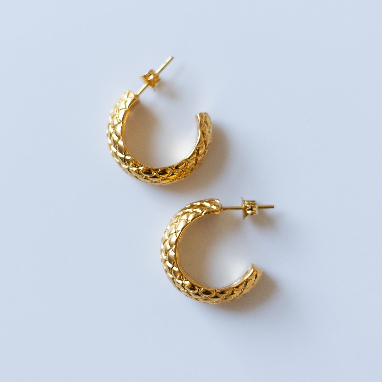 Snake Hoop Earrings