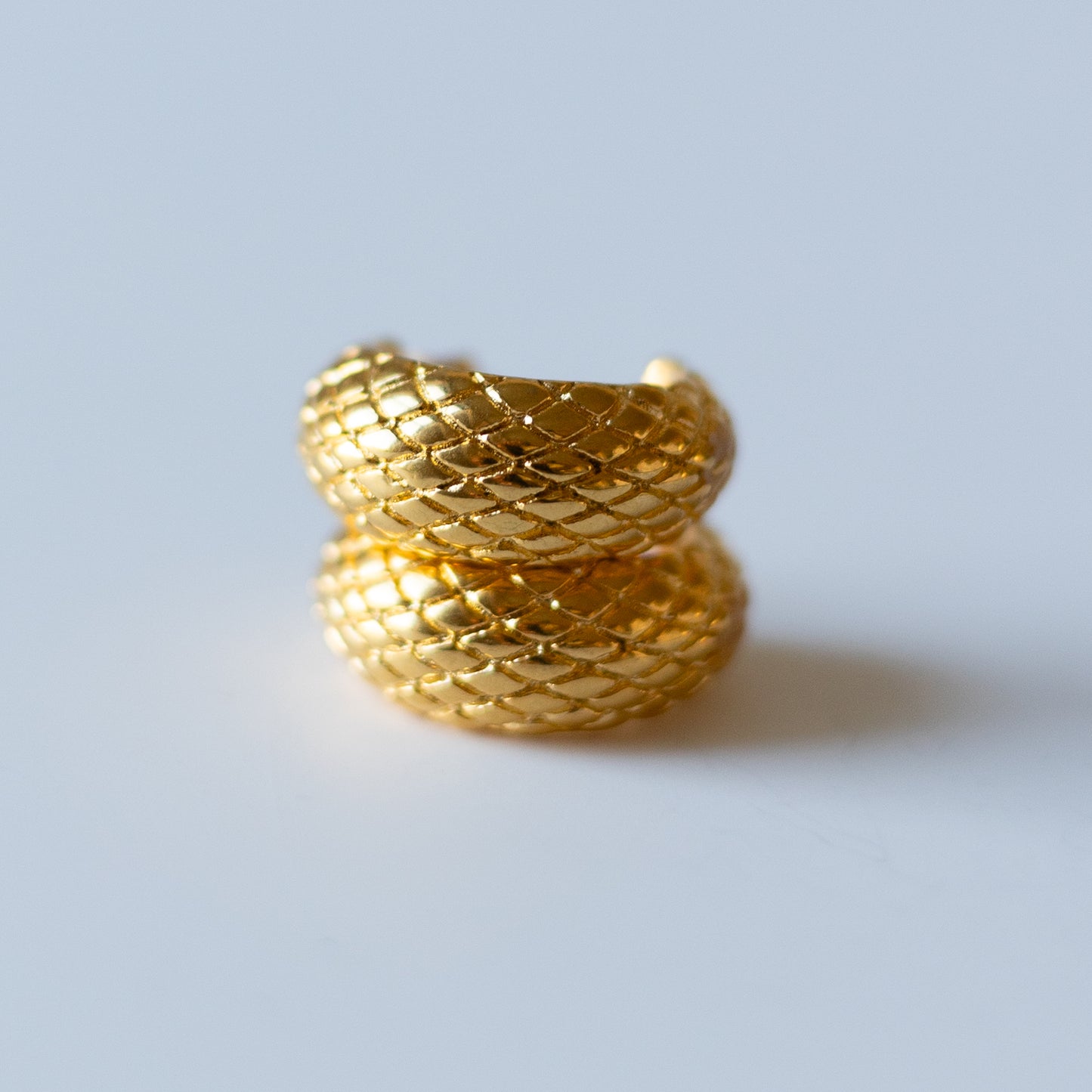 Snake Hoop Earrings